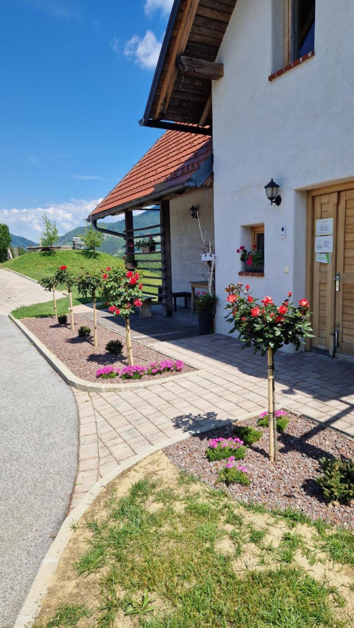 Relax Guest House Marjanca โรกัชกา สลาทินา ภายนอก รูปภาพ
